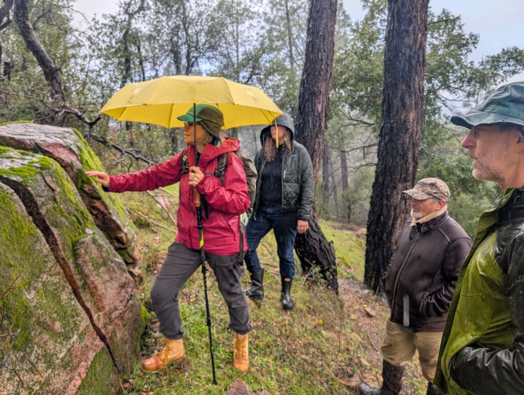 Hike leader, Juliet Malik, explaining the intricate world of fungi, mosses, and lichens