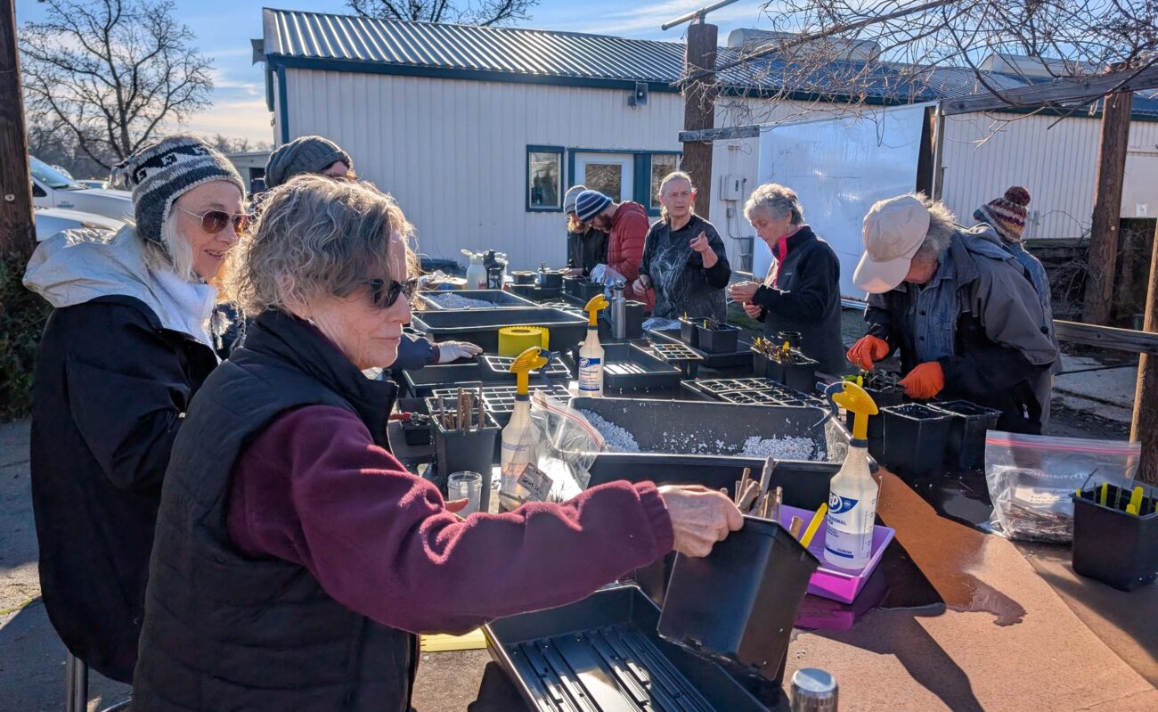 Propagators at a prop session. R. Redlich.