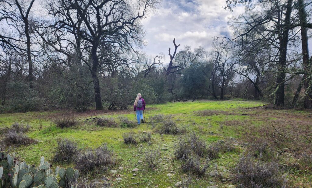 Beyond the paved trail at Kum Bay Xerel Open Space Area. D. Burk.