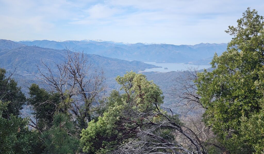 View from Mule Mountain. D. Burk.
