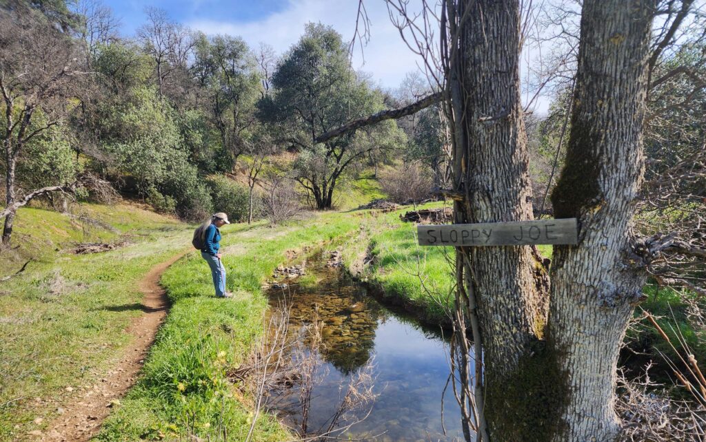 Northern section of Sloppy Joe Trail. D. Burk.