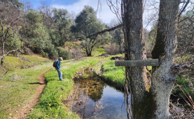 Northern section of Sloppy Joe Trail. D. Burk.