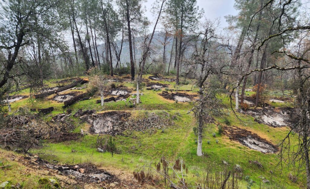 Mule Mountain, Princess Ditch Trail, and burned slash piles. D. Burk.