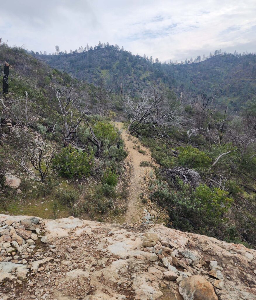 Ono Trail bike jump. D. Burk.