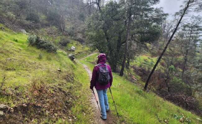 On Igo Trail. D. Burk.