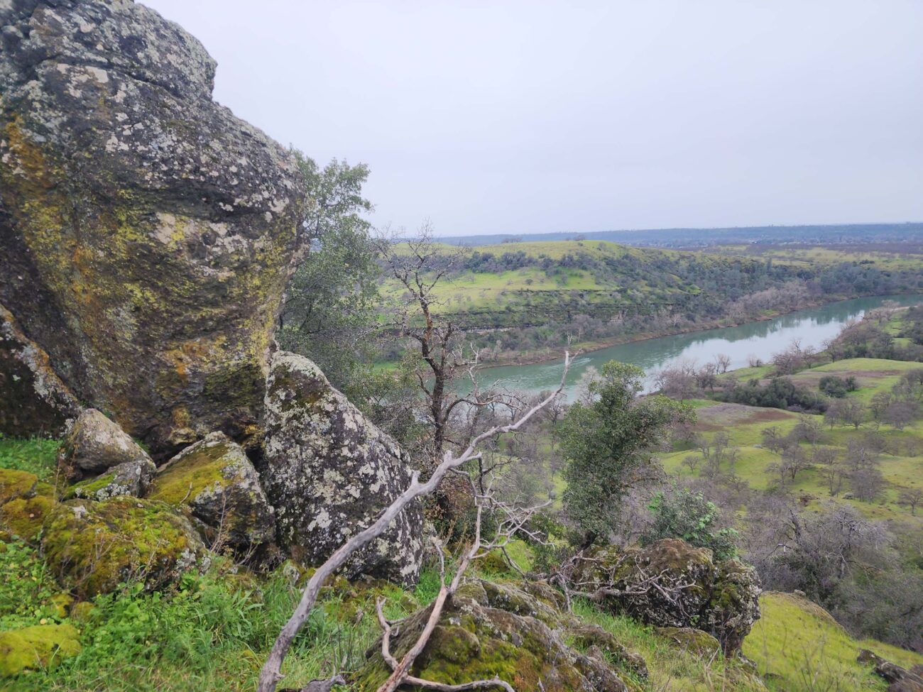 Sacramento River. D. Burk.