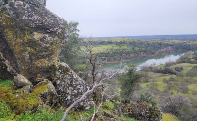Sacramento River. D. Burk.