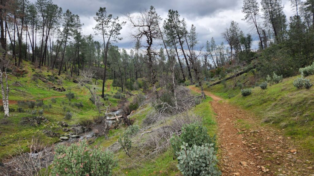 Image of Upper Salt Creek Trail. J. Malik.