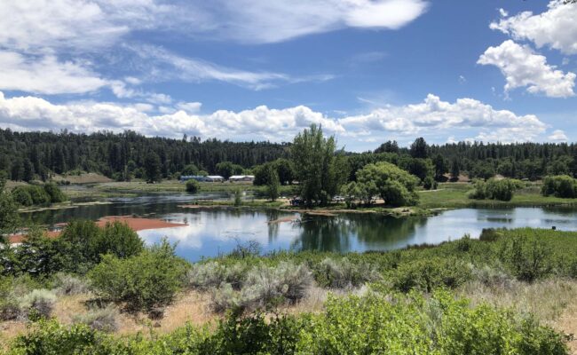 Baum Lake, a protected property conserved by Shasta Land Trust, in May, 2022. Photo by T. Blevins