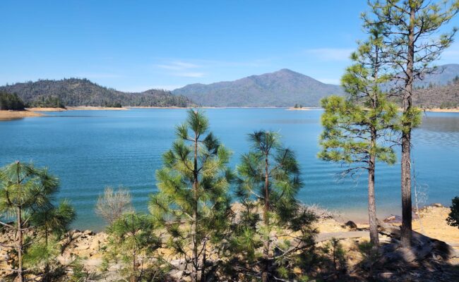 Pitt River Arm of Shasta Lake. D. Burk.