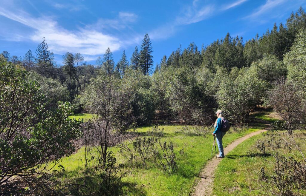 Clikapudi Trail.  D. Burk.