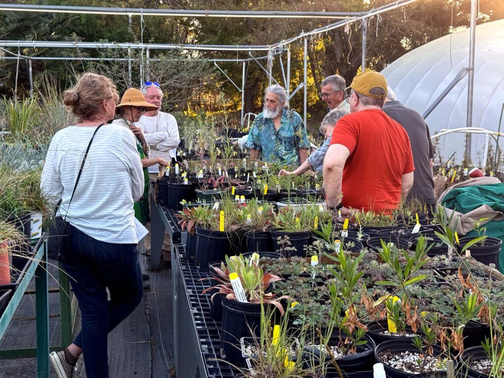 Nursery tour.  G. Lockett.