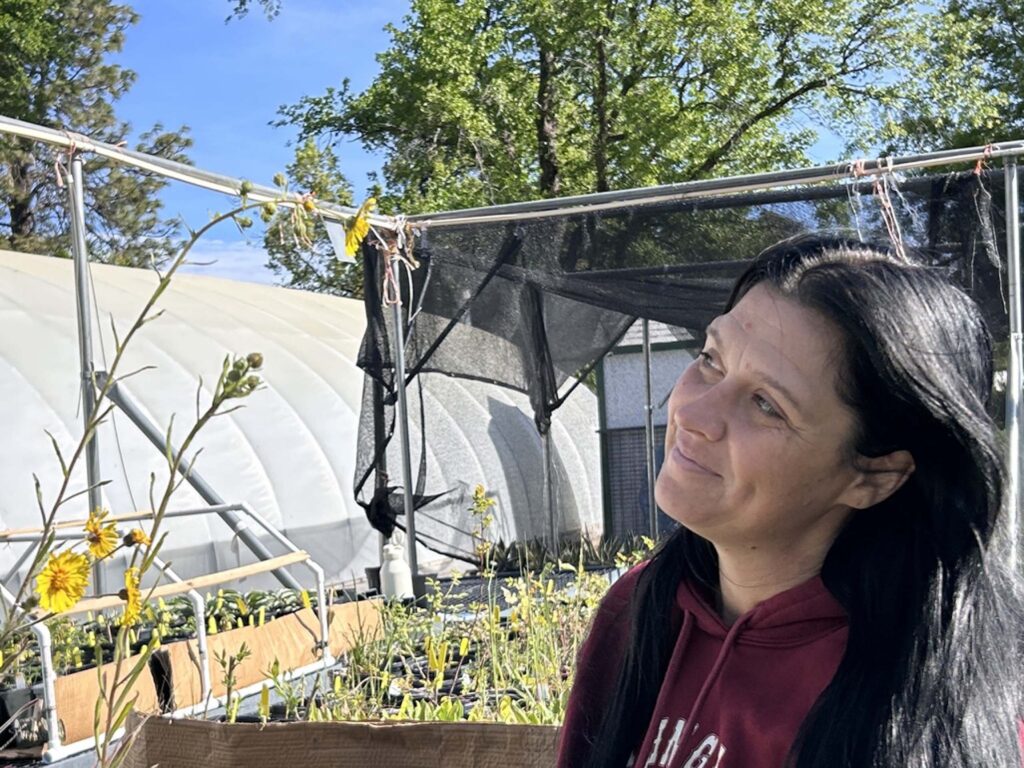 Angel Ladd. MA McCrary.