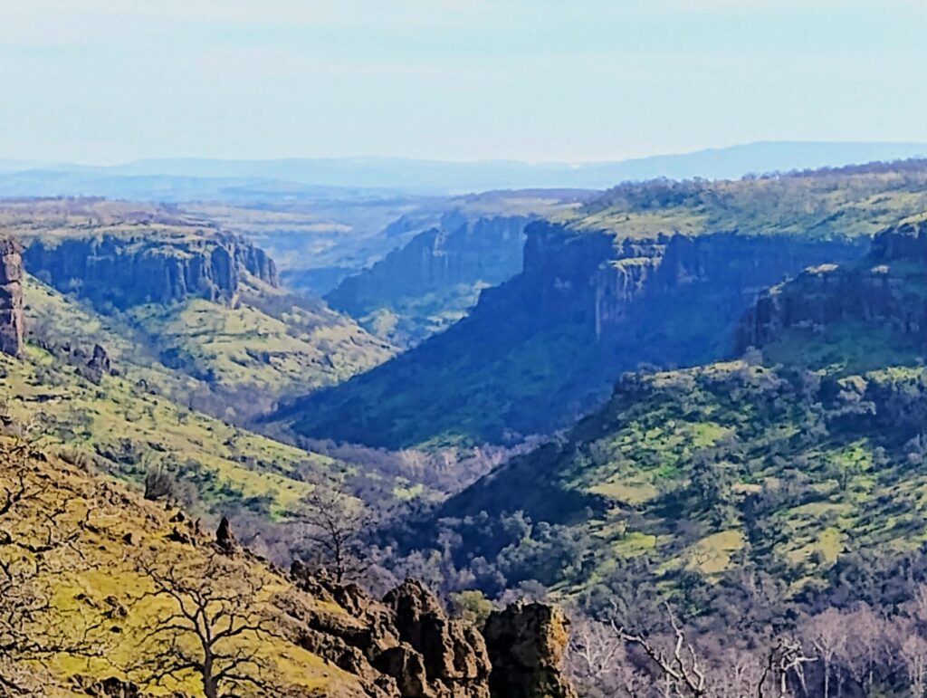 Dye Creek Canyon from rim. D. Ledger.