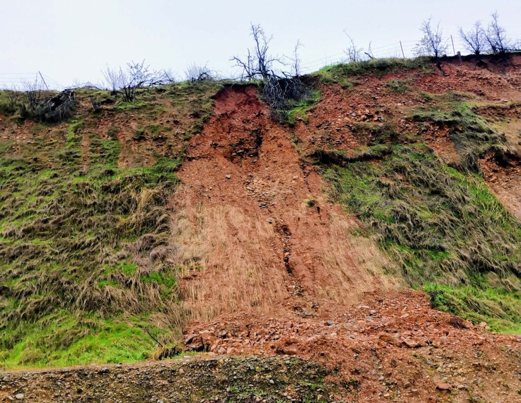 Erosional slumping due to illegal grading. D. Ledger.