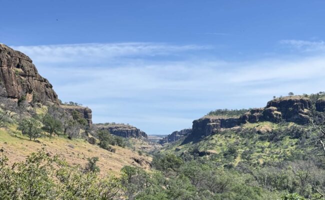 Dye Creek Canyon. H. Pratt.