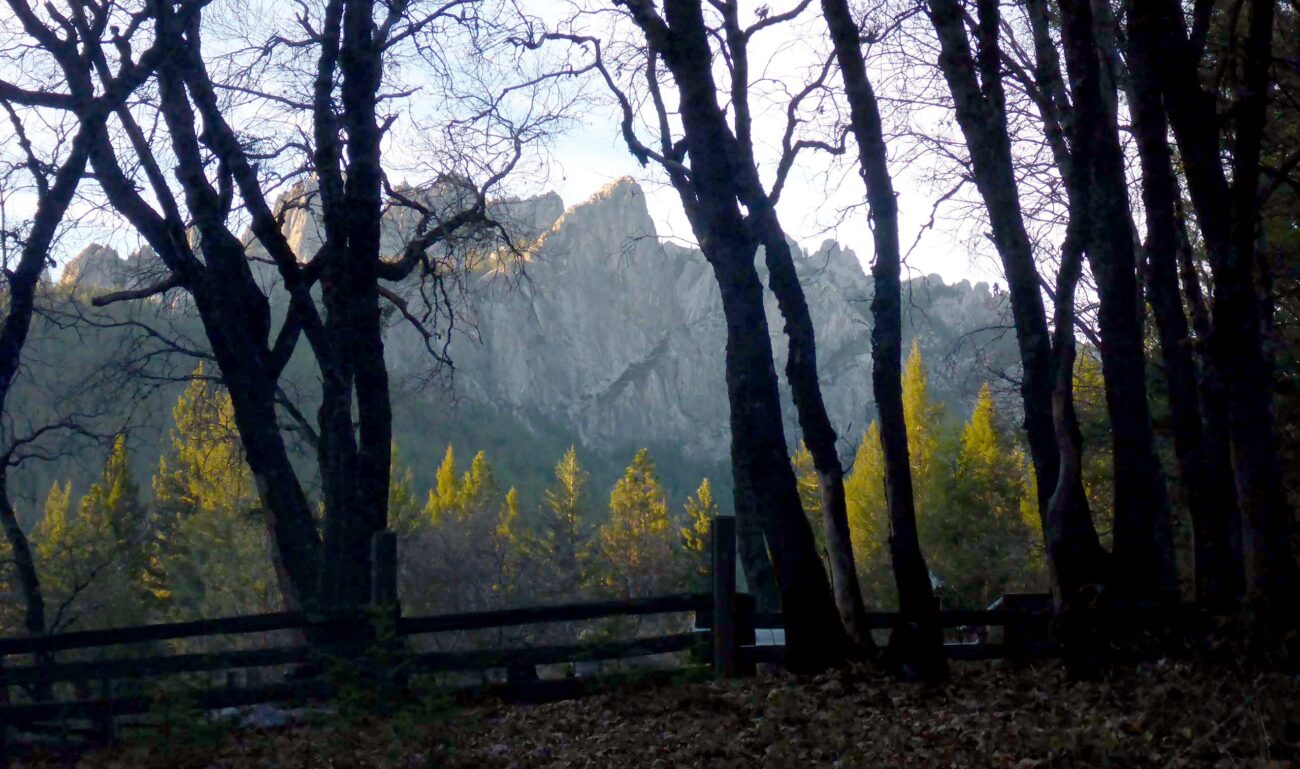Castle Crags view. D. Burk,