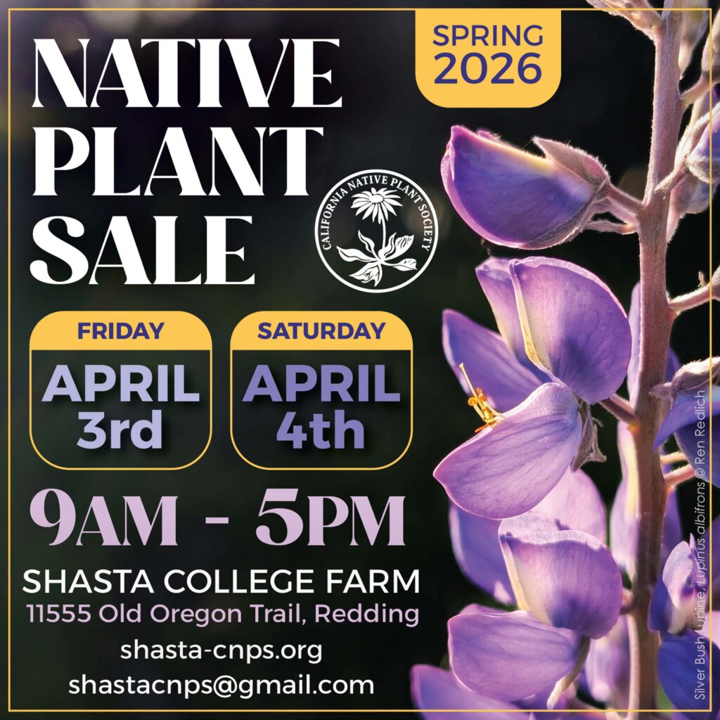 Spring 2026 Native Plant Sale Poster for April 3 and 4 at 9am - 5pm