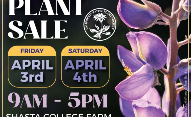 Spring 2026 Native Plant Sale Poster for April 3 and 4 at 9am - 5pm
