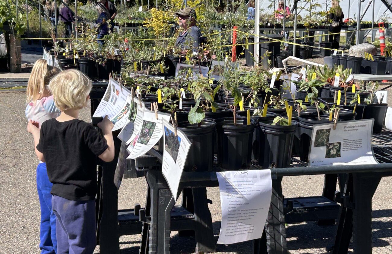 Young gardeners at our Spring 2026 Native Plant Sale. MA McCrary.