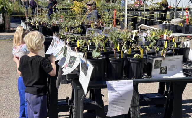 Young gardeners at our Spring 2026 Native Plant Sale. MA McCrary.