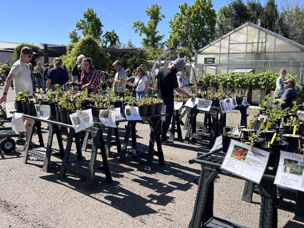 Spring 2026 Native Plant Sale. MA McCrary.