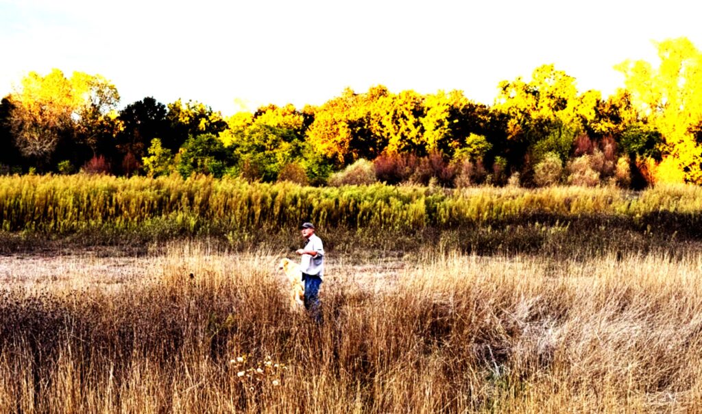 Anderson River Park site of proposed motorcycle business. T. L.