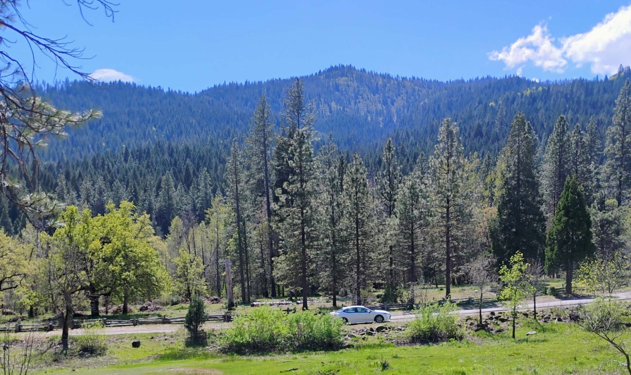 View fro Flume Trail, Castle Crags State Park. D. Ledger.