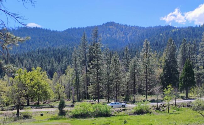 View fro Flume Trail, Castle Crags State Park. D. Ledger.