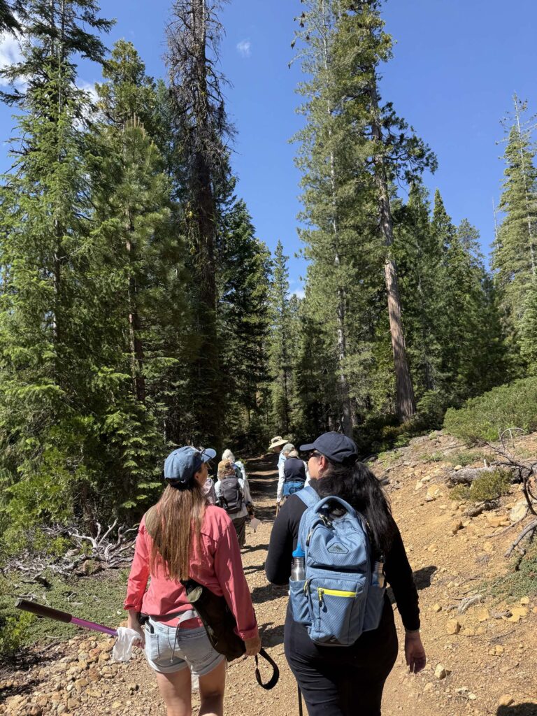 Cedar Basin trail. Photo courtesy of Mt. Shasta Area Audubon.