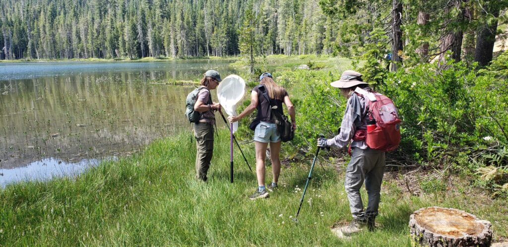 Laura Bradley at Cedar Lake. Photo courtesy of Mt. Shasta Area Audubon.