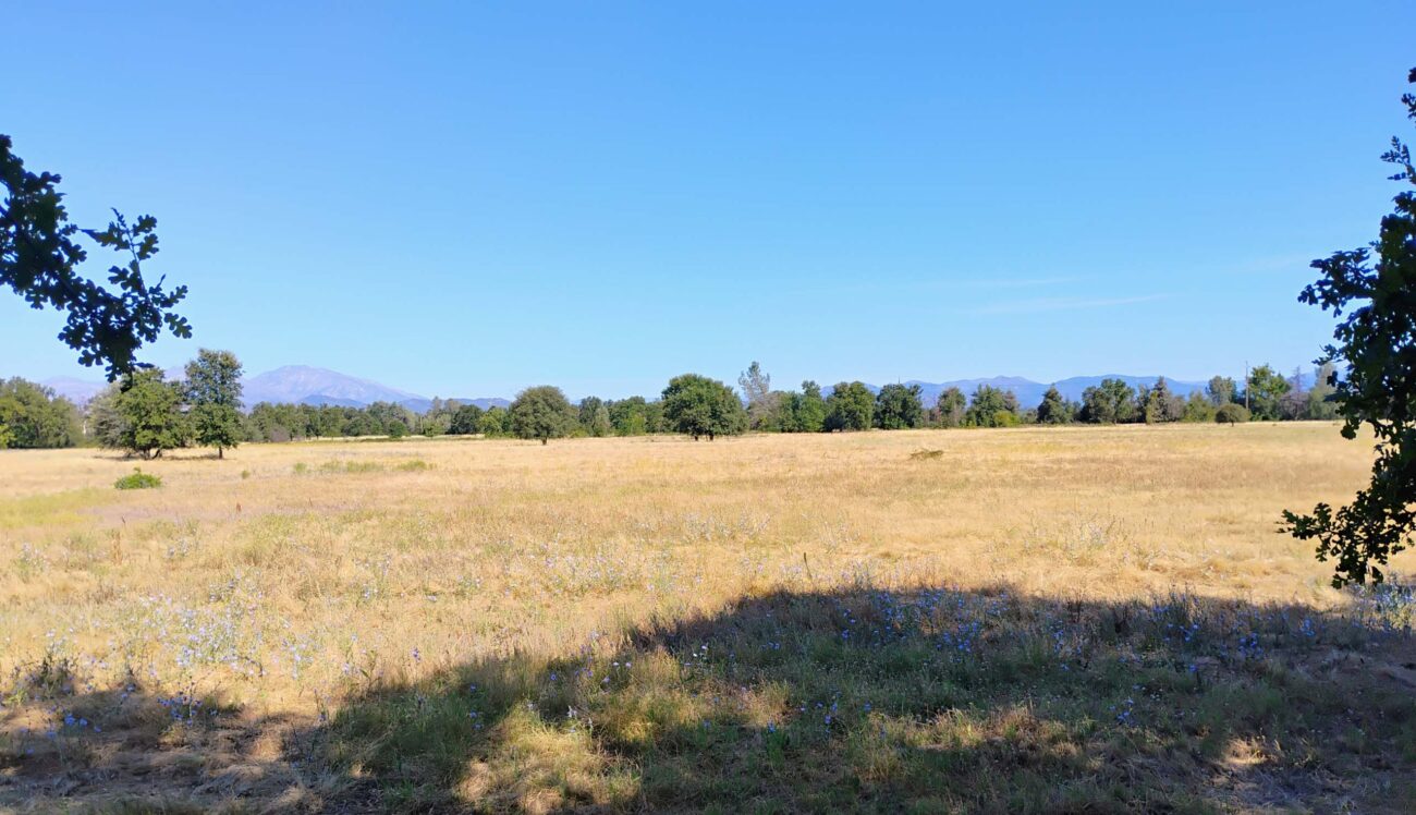 Site of proposed day center. D. Ledger.