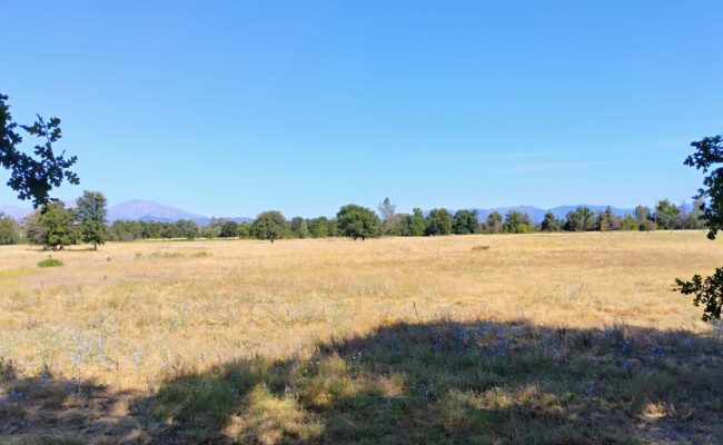 Site of proposed day center. D. Ledger.