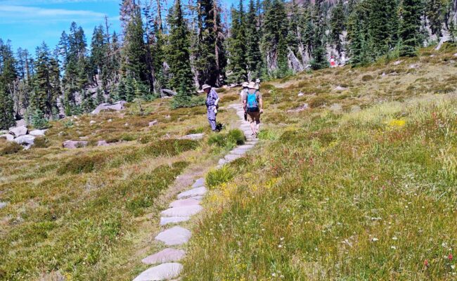 Participants on the August 8, 2026 hike to Panther Meadows in the Mount Shasta area enjoyed cooler weather and blooming plants. Photo by David Ledger.