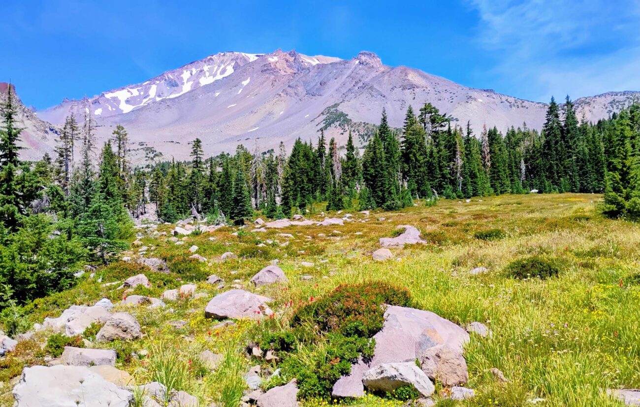Mt. Shasta and Panther Meadows. D. Ledger.