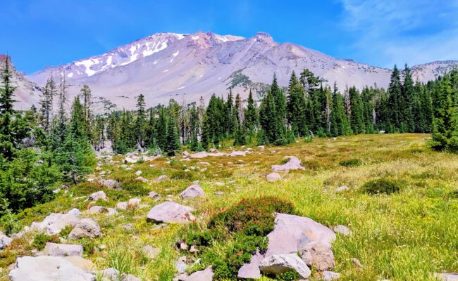 Mt. Shasta and Panther Meadows. D. Ledger.