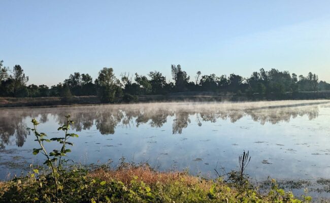 A photo of the ponds at Kapusta Open Space in Anderson, CA