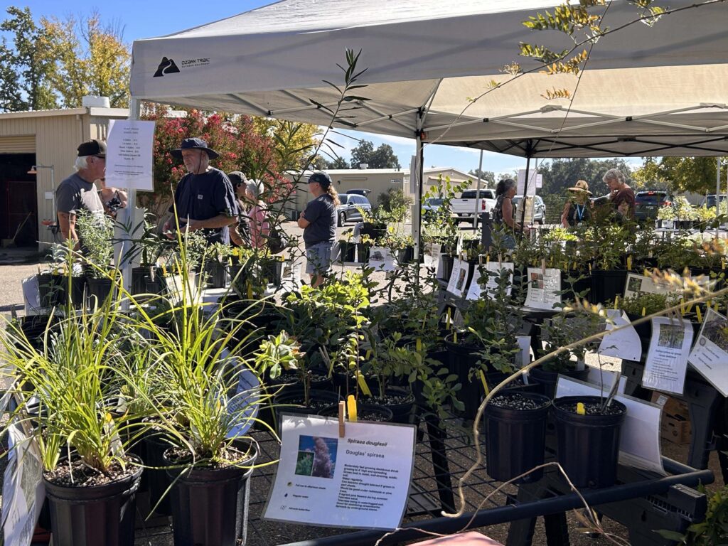 The Fall 2026 Native Plants Sale at Shasta College