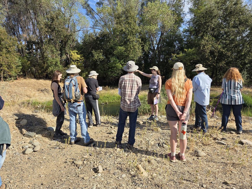 Hike participants hearing about an installed salmon channel