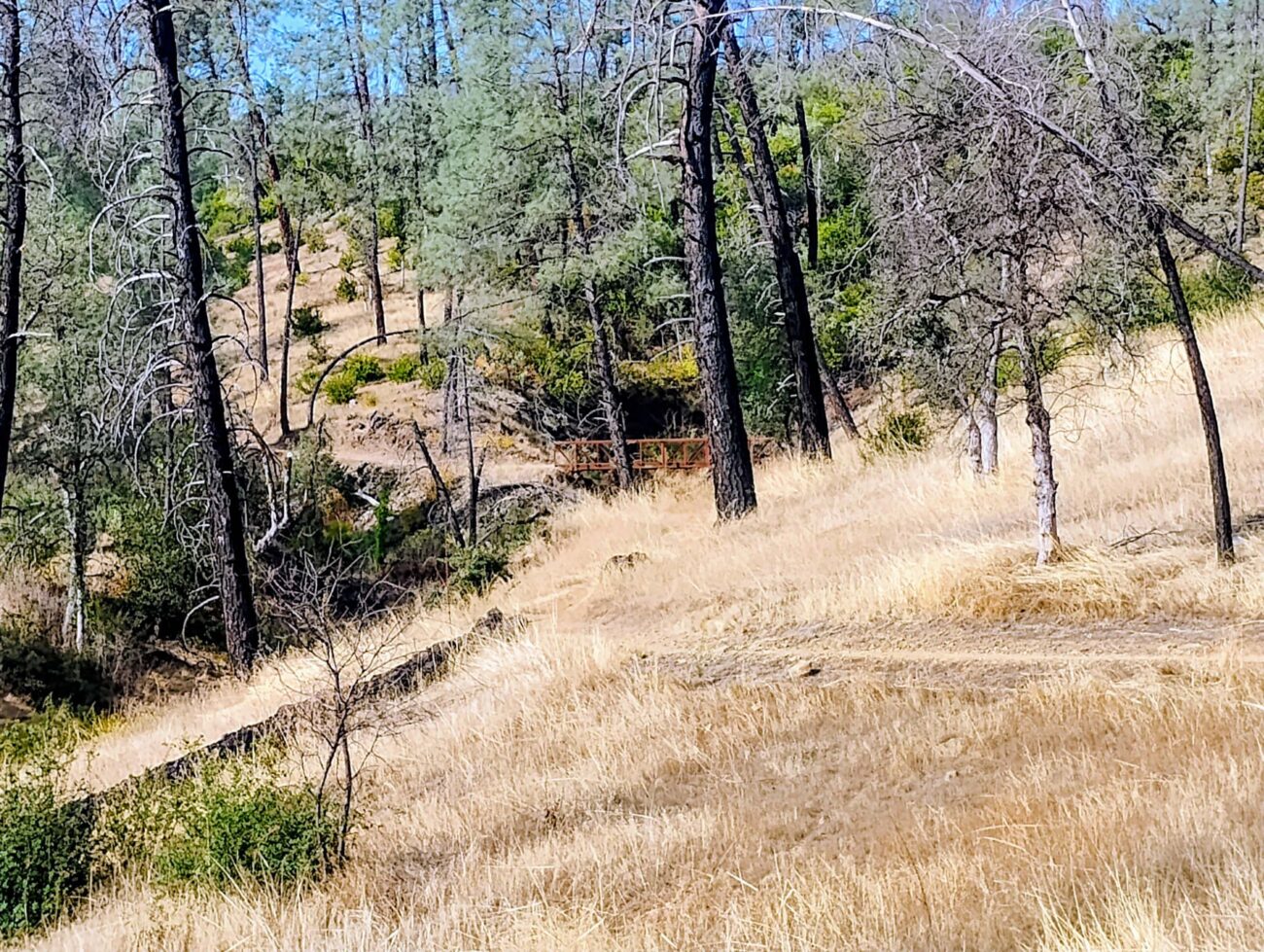 A view of the bridge on Upper Salt Creek Trail