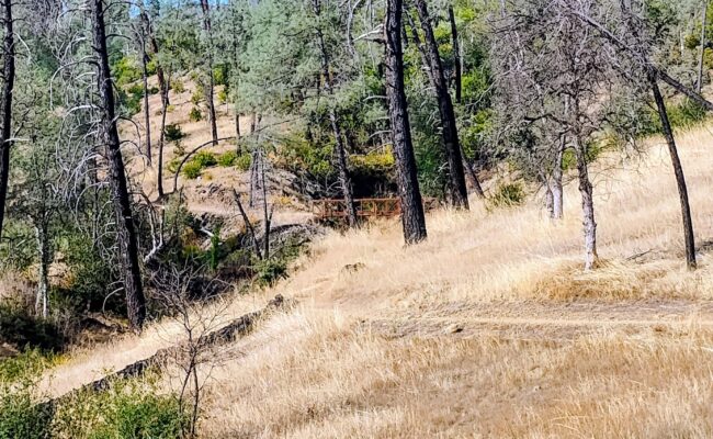 A view of the bridge on Upper Salt Creek Trail